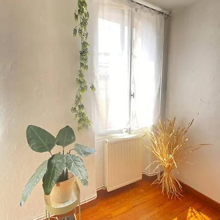 Maison Charmante Centre * 蒙托邦