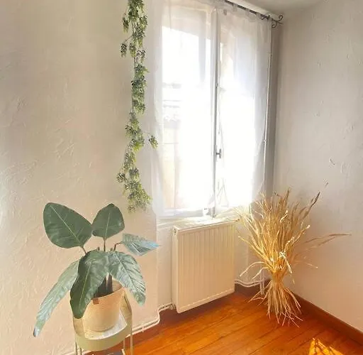 Maison Charmante Centre * Montauban